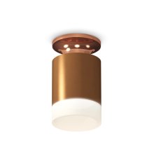 Потолочный светильник Ambrella Light Techno Spot XS6304153 (N6906, C6304, N6248)