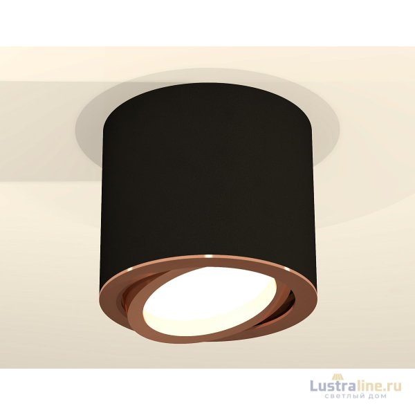 Накладной поворотный светильник Ambrella Light Techno XS7402004 (C7402, N7005)