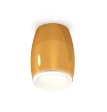 Накладной светильник Ambrella Light Techno XS1125020 (C1125, N7165)
