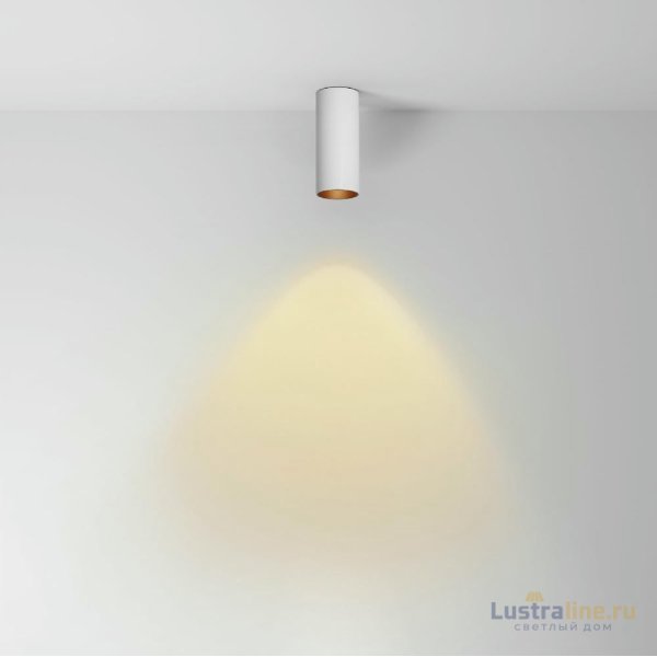 Накладной светильник Maytoni Focus led C056CL-L12W2.7K-W-W