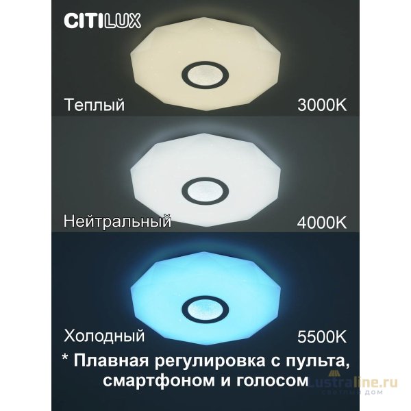 Накладной светильник Citilux CL713A40G