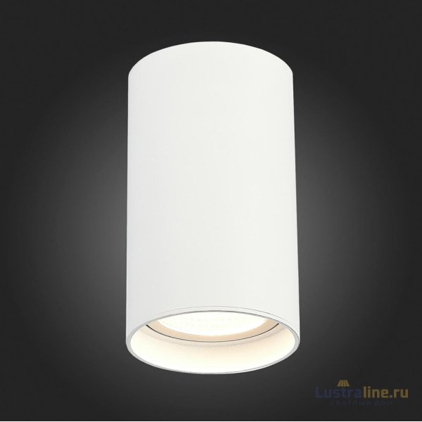 Накладной светильник ST Luce ST157.532.20 Накладной светильник ST Luce ST157.532.20
