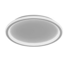 Потолочный светодиодный светильник Feron Ring AL5800 41556