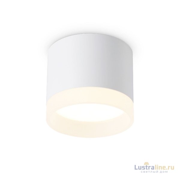 Накладной светильник Ambrella Light Acrylic Frost TN5365 Накладной светильник Ambrella Light Acrylic Frost TN5365