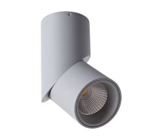 Накладной светильник ARTE Lamp A7717PL-1GY