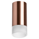 Накладной светильник Lightstar Rullo R43031 (214430+202431)