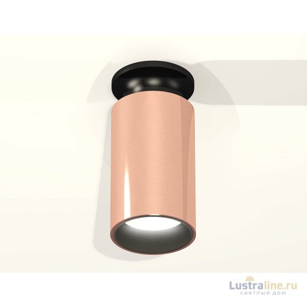 Потолочный светильник Ambrella Light Techno Spot XS6326101 (N6902, C6326, N6111) Потолочный светильник Ambrella Light Techno Spot XS6326101 (N6902, C6326, N6111)