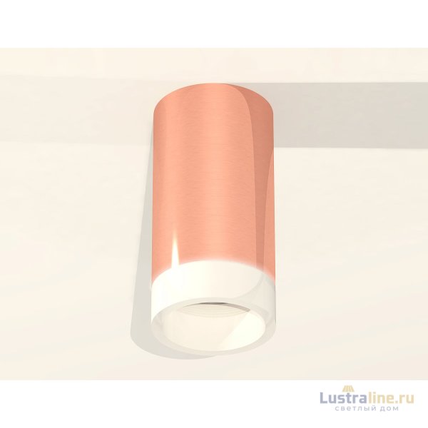 Потолочный светильник Ambrella Light Techno Spot XS6326021 (C6326, N6248) Потолочный светильник Ambrella Light Techno Spot XS6326021 (C6326, N6248)