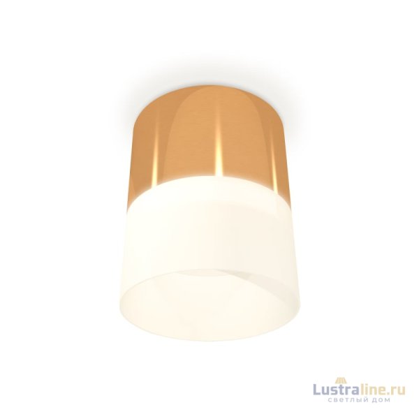 Потолочный светильник Ambrella Light Techno Spot XS8121011 (C8121, N8402)