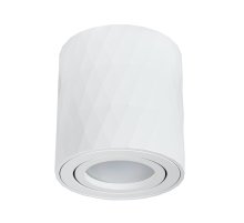 Накладной светильник Arte Lamp Fang A5559PL-1WH