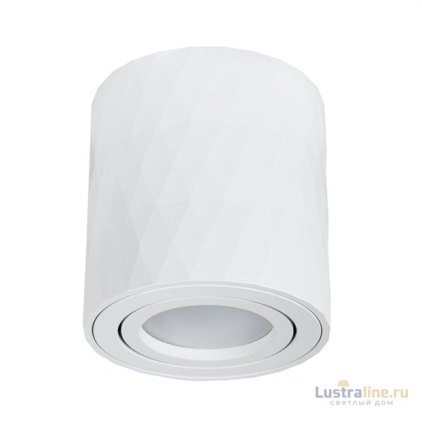 Накладной светильник Arte Lamp Fang A5559PL-1WH