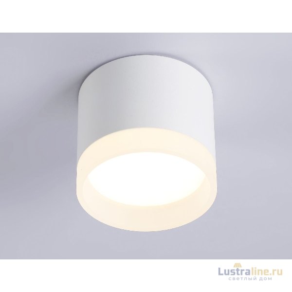 Накладной светильник Ambrella Light Acrylic Frost TN5365 Накладной светильник Ambrella Light Acrylic Frost TN5365