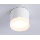 Накладной светильник Ambrella Light Acrylic Frost TN5365