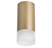 Накладной светильник Lightstar Rullo R44031 (214440+202431)
