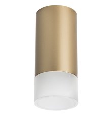 Накладной светильник Lightstar Rullo R44031 (214440+202431)