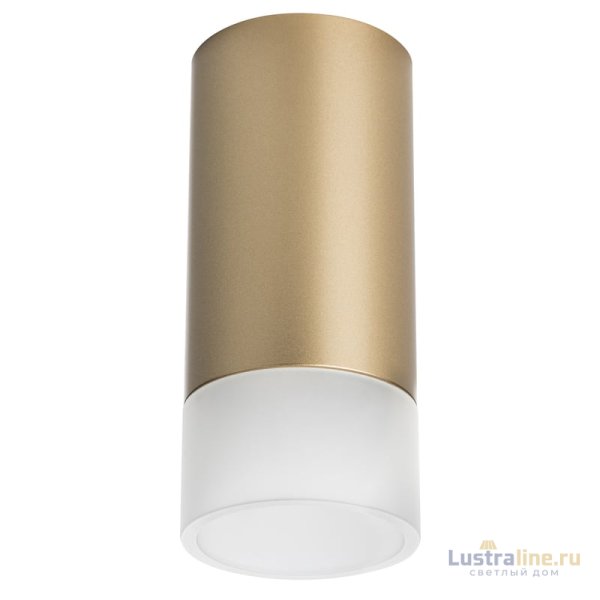 Накладной светильник Lightstar Rullo R44031 (214440+202431)