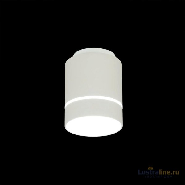 Накладной светильник Citilux Борн CL745010N Накладной светильник Citilux Борн CL745010N
