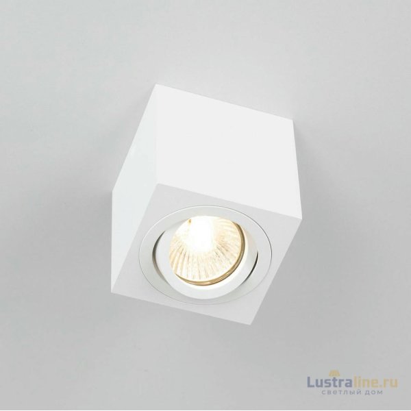 Потолочный светильник Citilux Дюрен CL538211 Потолочный светильник Citilux Дюрен CL538211
