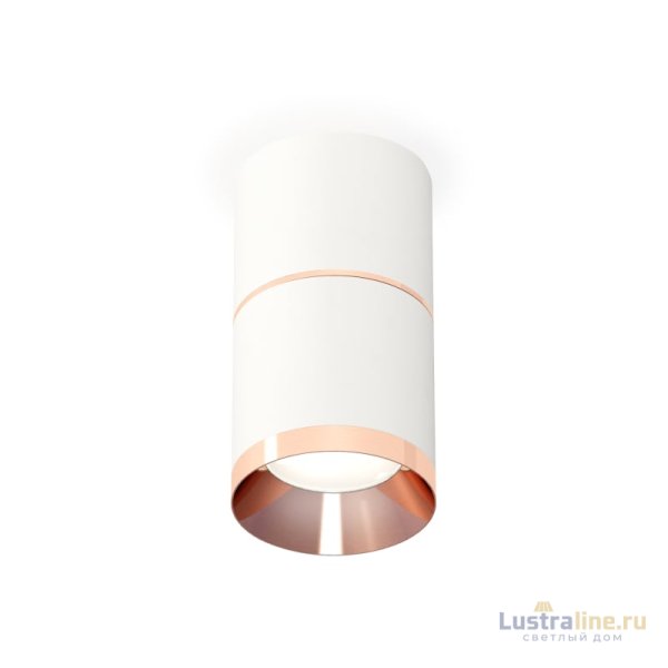 Потолочный светильник Ambrella Light Techno Spot XS7401221 (C7401, A2073, C7401, N7035)