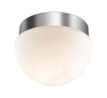 Потолочный светильник Odeon Light Minkar 2443/1A