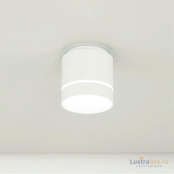 Накладной светильник Citilux Борн CL745020N