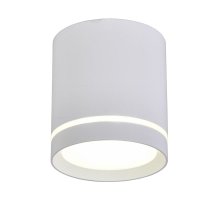 Накладной светильник Omnilux Capurso OML-102409-05 УЦ