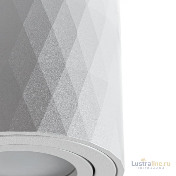 Накладной светильник Arte Lamp Fang A5559PL-1WH