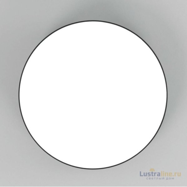 Накладной светодиодный светильник Citilux Тао CL712242N