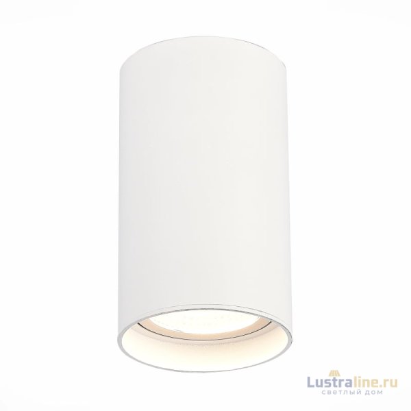 Накладной светильник ST Luce ST157.542.20 Накладной светильник ST Luce ST157.542.20