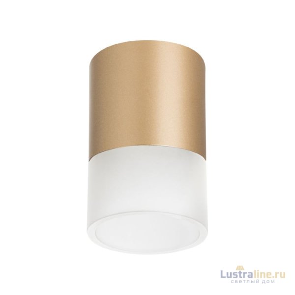 Накладной светильник Lightstar Rullo (213490+202481) R349081 Накладной светильник Lightstar Rullo (213490+202481) R349081