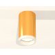 Потолочный светильник Ambrella Light Techno Spot XS6327020 (C6327, N6245)