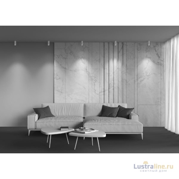 Накладной светильник Maytoni Focus LED C056CL-L12W4K-W-W