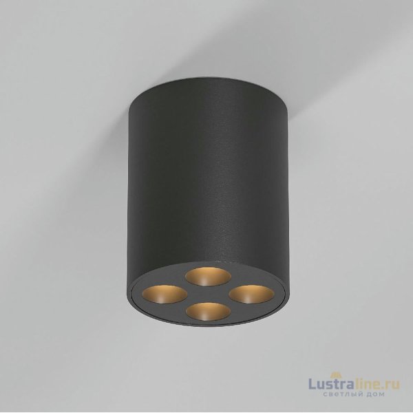 Накладной светильник Elektrostandard Points 25111/LED 4690389207839 a067484