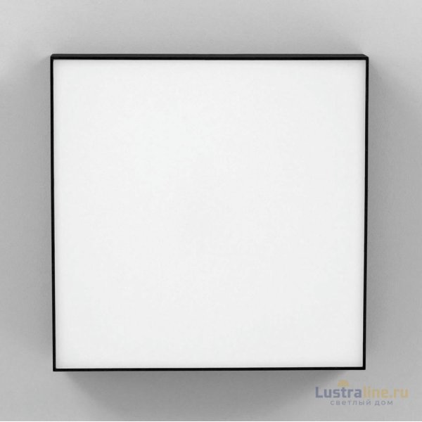 Накладной светодиодный светильник Citilux Тао CL712X242N