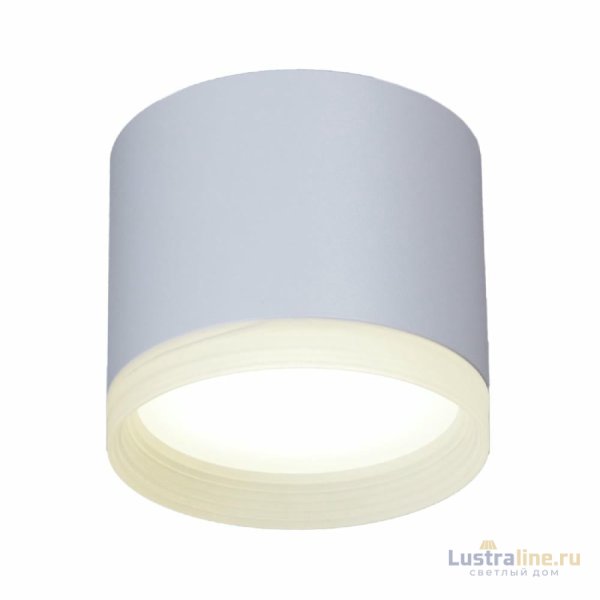 Накладной светильник Reluce 53004-9.5-001LD GX53 WT