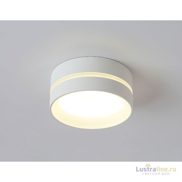 Накладной светильник Ambrella Light IP Protect TN5391