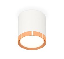 Потолочный светильник Ambrella Light Techno Spot XS8141005 (C8141, N8126)