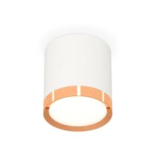 Потолочный светильник Ambrella Light Techno Spot XS8141005 (C8141, N8126)