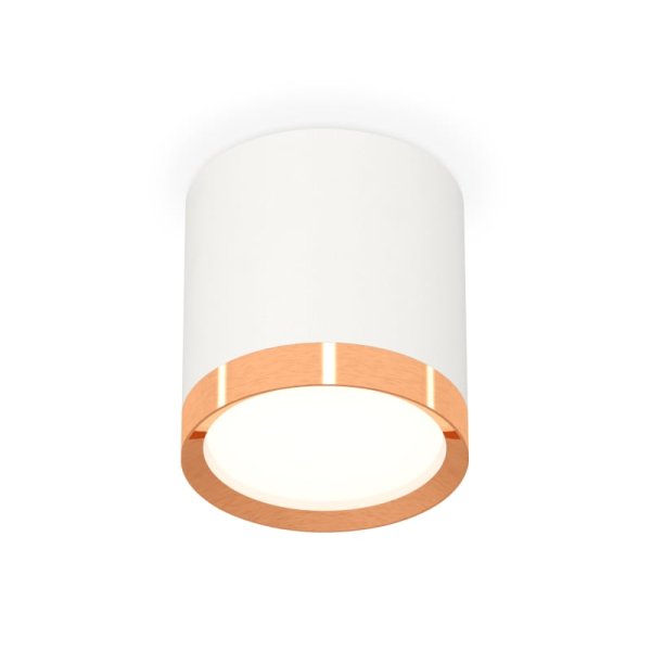 Потолочный светильник Ambrella Light Techno Spot XS8141005 (C8141, N8126)