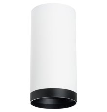 Накладной светильник Lightstar Rullo R64863487 (216486+203487)