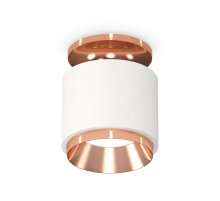 Потолочный светильник Ambrella Light Techno Spot XS7510140 (N7930, C7510, N7035)