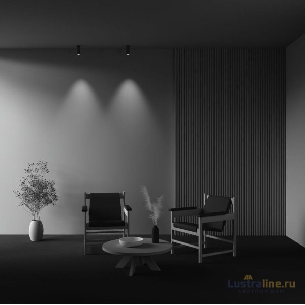 Накладной светильник Maytoni Focus Led C056CL-L12W4K-W-BS