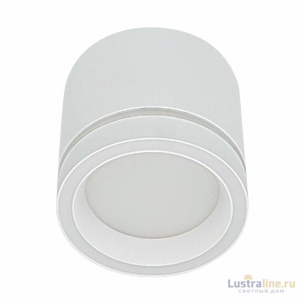 Накладной светильник Reluce 53003-9.5-001LD GX53 WT