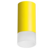 Накладной светильник Lightstar Rullo R43331 (214433+202431)