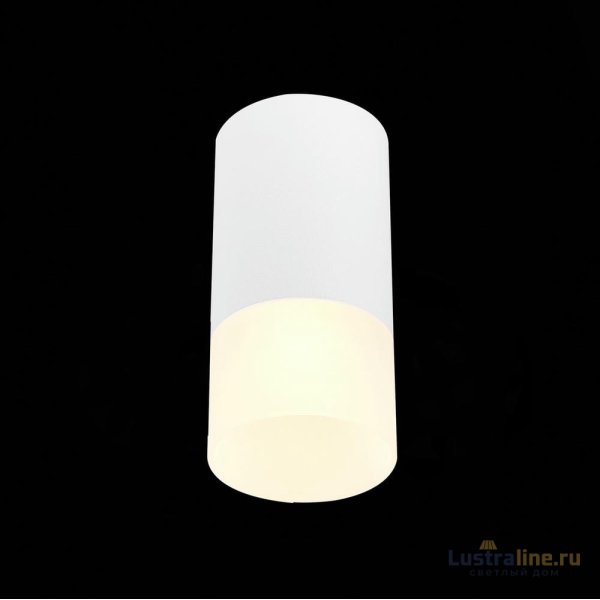 Накладной светильник ST Luce ST100 ST100.512.01 Накладной светильник ST Luce ST100 ST100.512.01