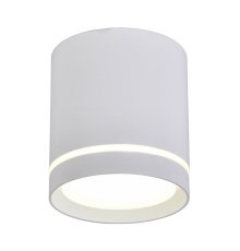 Накладной светильник Omnilux Capurso OML-102409-05