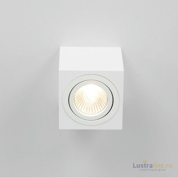 Потолочный светильник Citilux Дюрен CL538211 Потолочный светильник Citilux Дюрен CL538211