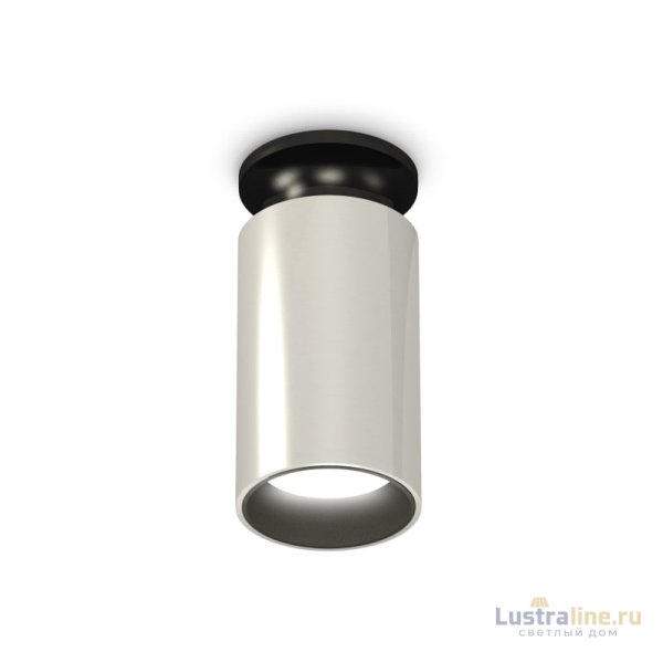 Потолочный светильник Ambrella Light Techno Spot XS6325101 (N6902, C6325, N6111) Потолочный светильник Ambrella Light Techno Spot XS6325101 (N6902, C6325, N6111)