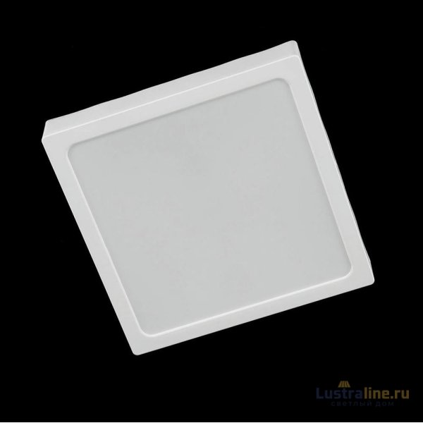 Накладной светильник Citilux Галс CL55K22N Накладной светильник Citilux Галс CL55K22N
