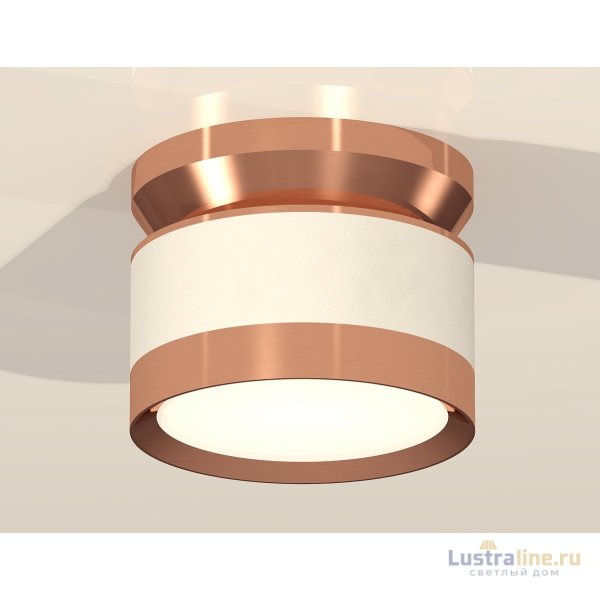Потолочный светильник Ambrella Light Techno Spot XS8101065 (N8912, C8101, N8126)
